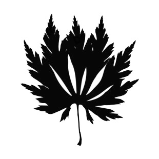 Lobbed toothed leaves silhouette listed in plants decals.