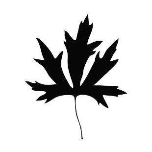 Lobbed leaf silhouette listed in plants decals.