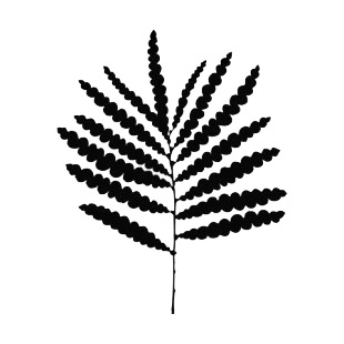 Fern leaf silhouette listed in plants decals.
