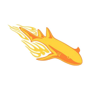 Flamboyant shark listed in flames decals.