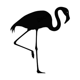 Flamingo standing on one leg listed in birds decals.