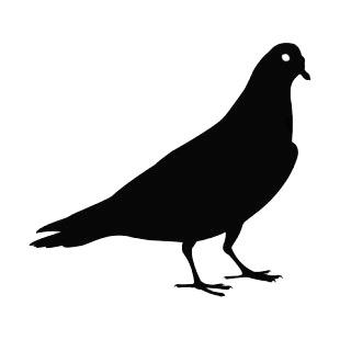 Pigeon listed in birds decals.