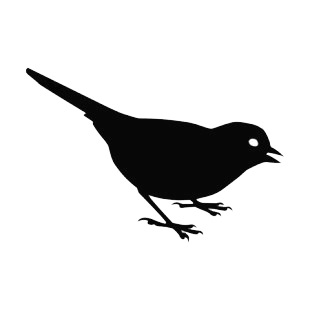 Sparrow with beak open listed in birds decals.