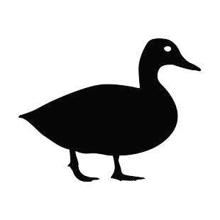 Duck listed in birds decals.