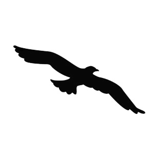 Eagle flying silhouette listed in birds decals.