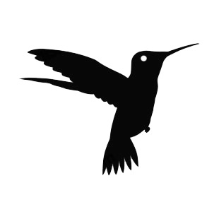 Hummingbird listed in birds decals.