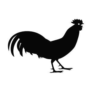 Rooster calling listed in birds decals.