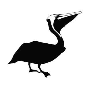 Pelican listed in birds decals.