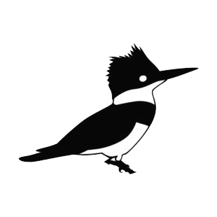 Crested bird with long beak listed in birds decals.
