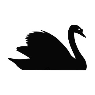 Cob swan swimming listed in birds decals.