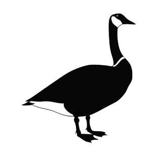 Geese listed in birds decals.
