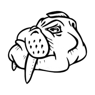 Walrus face with tusks mascot listed in mascots decals.