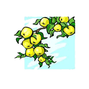 Yellow apples on a branch listed in agriculture decals.