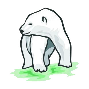 Polar bear listed in bears decals.