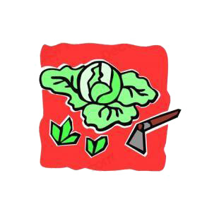 Cabbage plants being scrape listed in agriculture decals.