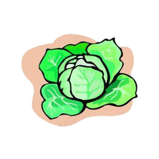 Cabbage plant listed in agriculture decals.