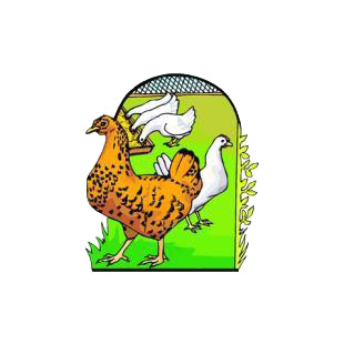 Brown chicken with white chickens eating listed in agriculture decals.