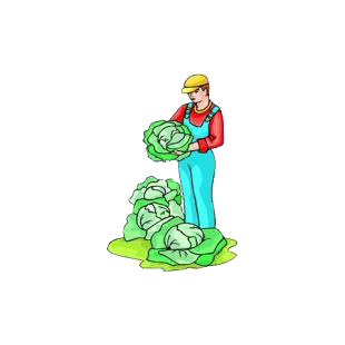Farmer holding cabbage plant listed in agriculture decals.