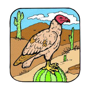 Vulture on a cactus listed in birds decals.