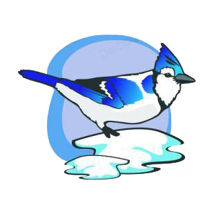 Blue jay listed in birds decals.