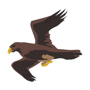 Flying hawk listed in birds decals.