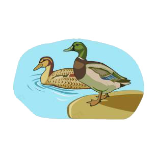 Mallard duck listed in birds decals.