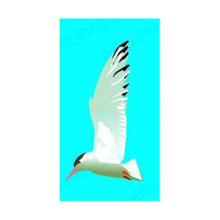 Seagull listed in birds decals.