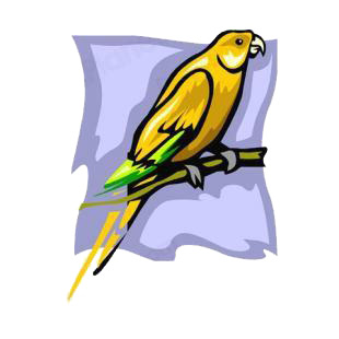 Yellow parrot listed in birds decals.