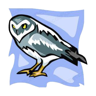 Owl listed in birds decals.