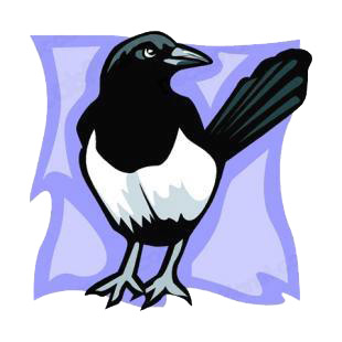 Magpie listed in birds decals.