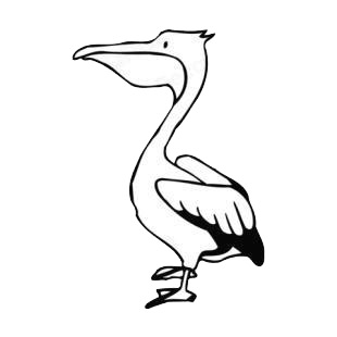 Pelican listed in birds decals.