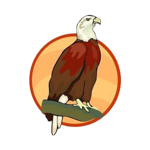 American eagle listed in birds decals.