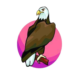 American eagle listed in birds decals.