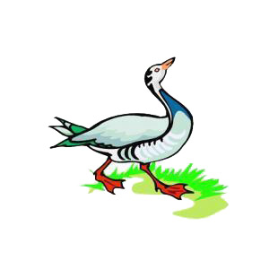 Duck listed in birds decals.