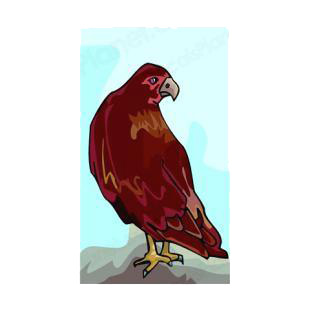 Brown bird listed in birds decals.