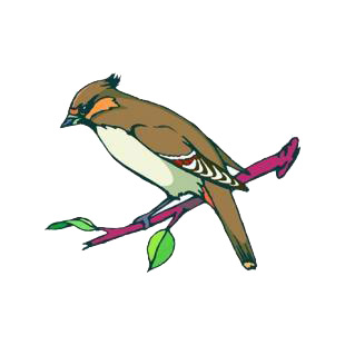 Brown cardinal listed in birds decals.