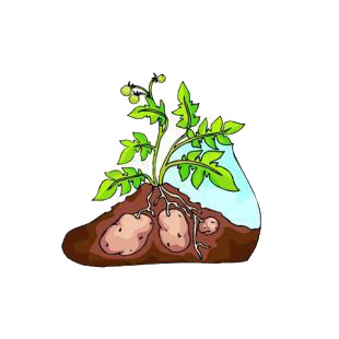Potato listed in agriculture decals.