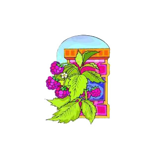 Raspberry plant listed in agriculture decals.