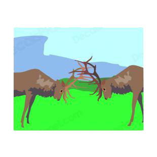 Deer fight listed in deer decals.