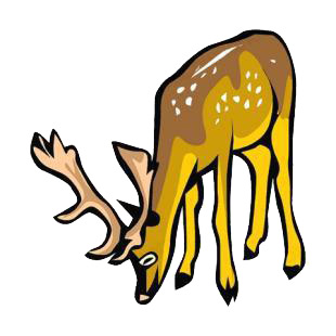 Deer listed in deer decals.