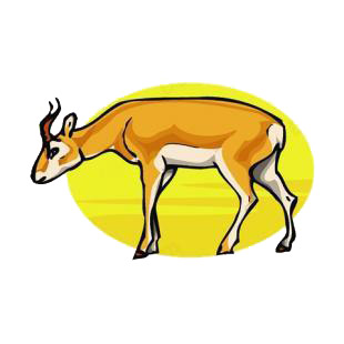 Gazelle listed in deer decals.