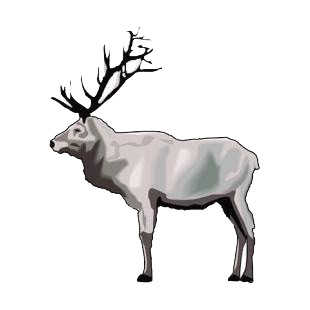 Grey deer listed in deer decals.