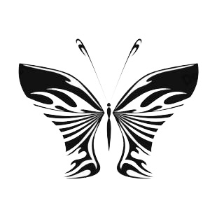 Butterfly listed in butterflies decals.