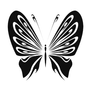 Butterfly listed in butterflies decals.