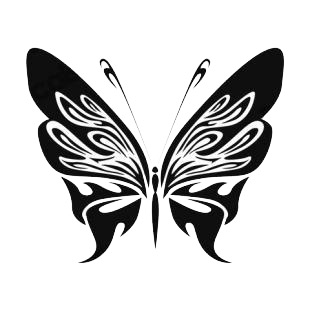 Butterfly listed in butterflies decals.