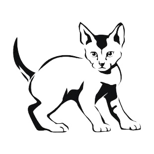 Kitten listed in cats decals.