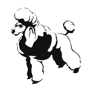 Poddle listed in dogs decals.