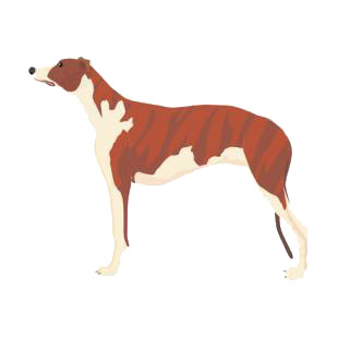 Greyhound listed in dogs decals.