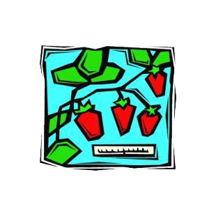 Strawberry ruler listed in agriculture decals.
