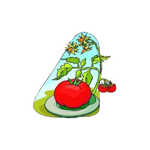 Tomato plant listed in agriculture decals.